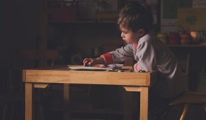 Fedena Student Records blog image