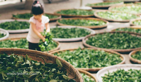 Smart schools real world skills blog image