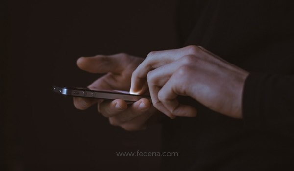 fedena messaging school erp